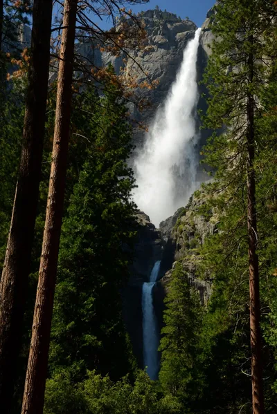 DSC_2392 (Large).JPG